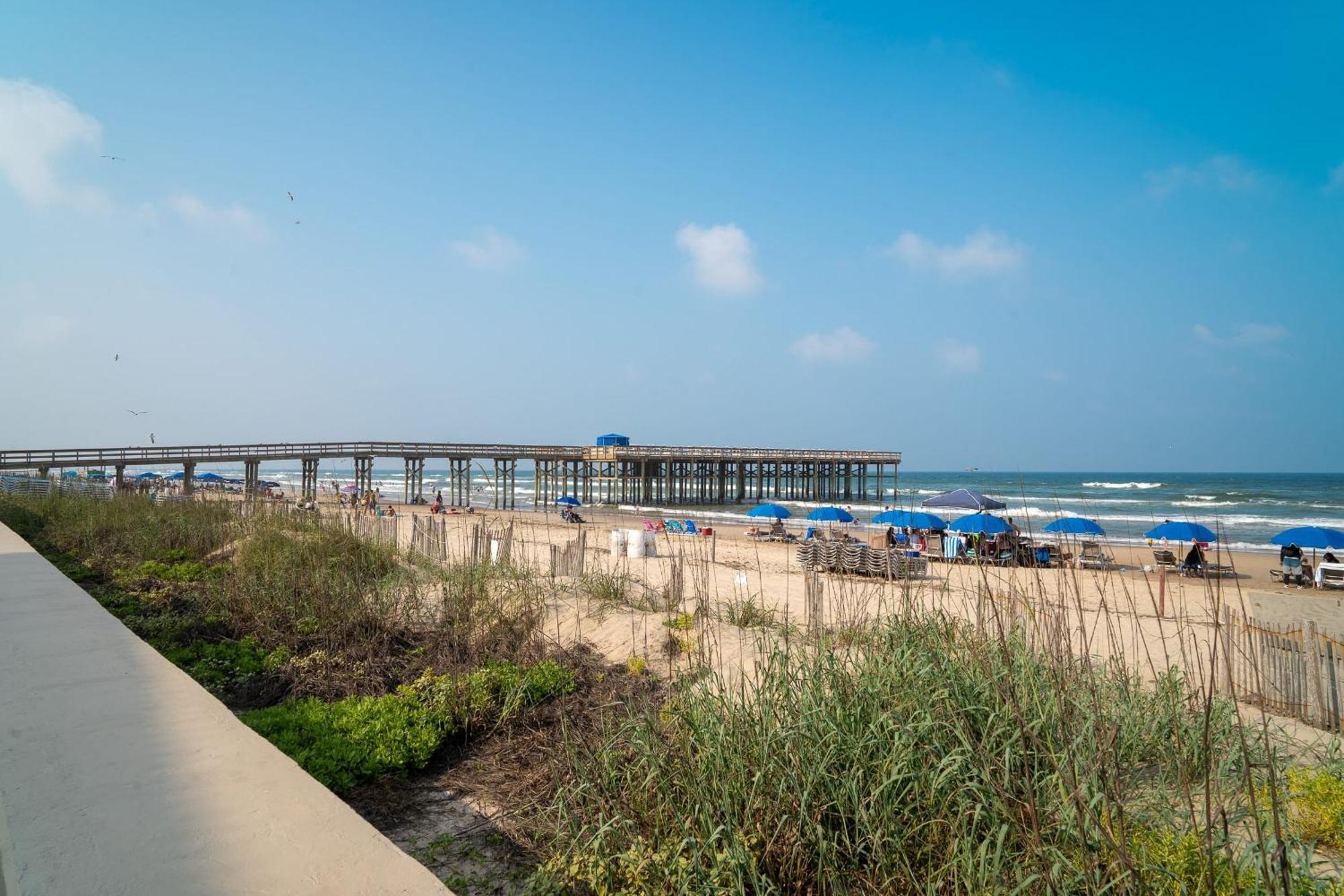Kingfishers Retreat Serene 1Br Escape With Balcony 207 جنوب جزيرة بادري المظهر الخارجي الصورة